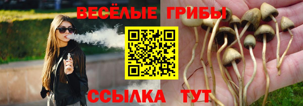 Нефтеюганск  Галлюциногенные грибы Psilocybine cubensis  Вход с VPN 